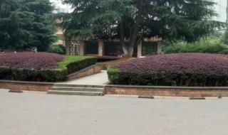 武汉市洪山中学 武汉市洪山中学