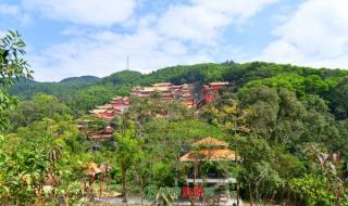 大岭山森林公园好玩吗 大岭山森林公园好玩吗